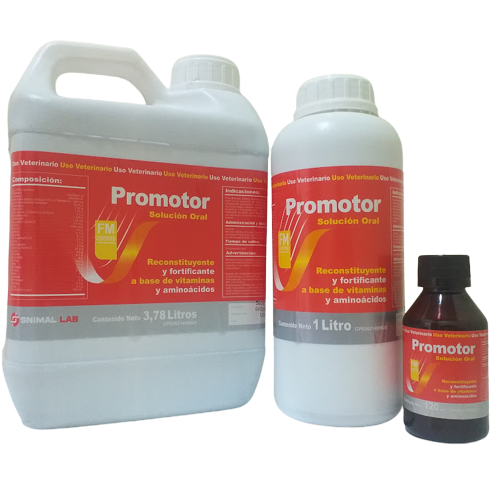 promotor fm