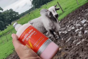 Medicamentos e insumos veterinarios en venezuela Medicamentos e insumos veterinarios en venezuela